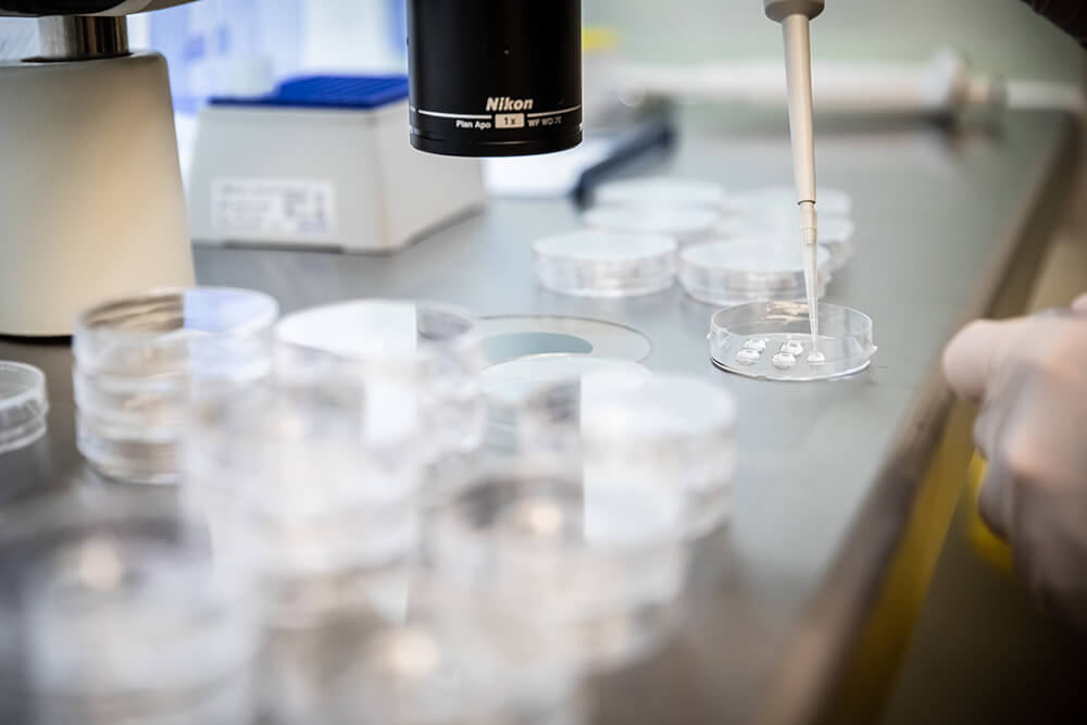 Nordicivf-header Nordic IVF Äggdonation